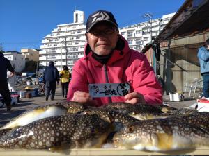 ふぐ釣り好調です！！