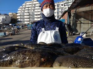 ふぐ釣り好調です！！