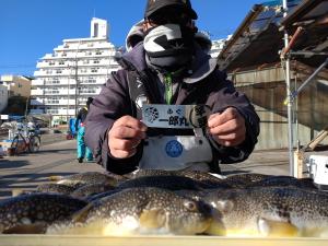 ふぐ釣り好調です！！