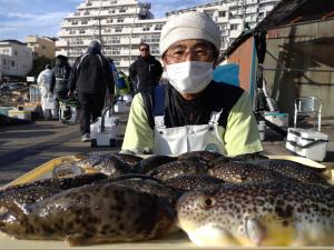 ふぐ釣り好調です！！