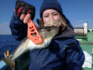 ふぐ釣り好調です！！