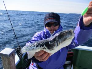 とらふぐ釣り