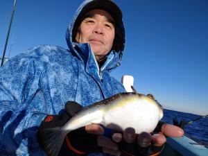 ふぐ釣り好調です！！