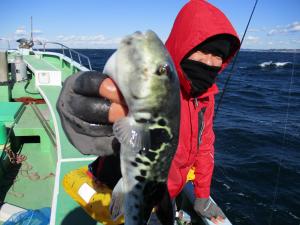 とらふぐ釣り