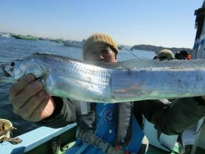 大型タチウオ釣れています！！