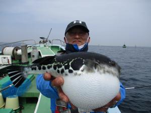 とらふぐ釣り