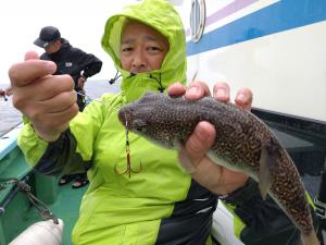 ふぐ釣り好調です！！