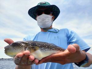 ふぐ釣り