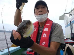 ふぐ釣り好調です！！