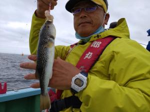 ふぐ釣り好調です！！