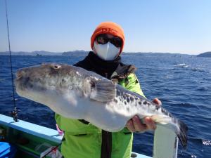 とらふぐ釣り