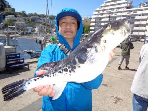 とらふぐ釣り