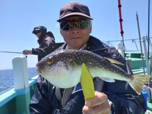 ふぐ釣り好調です！！