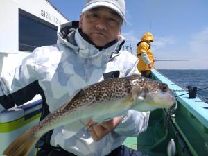 ふぐ釣り好調です！！