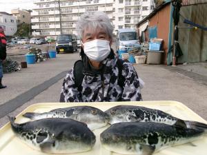 とらふぐ釣り