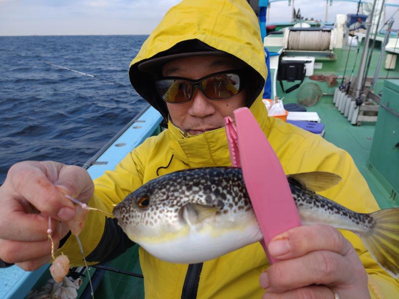 ふぐ釣り好調です！！4枚目