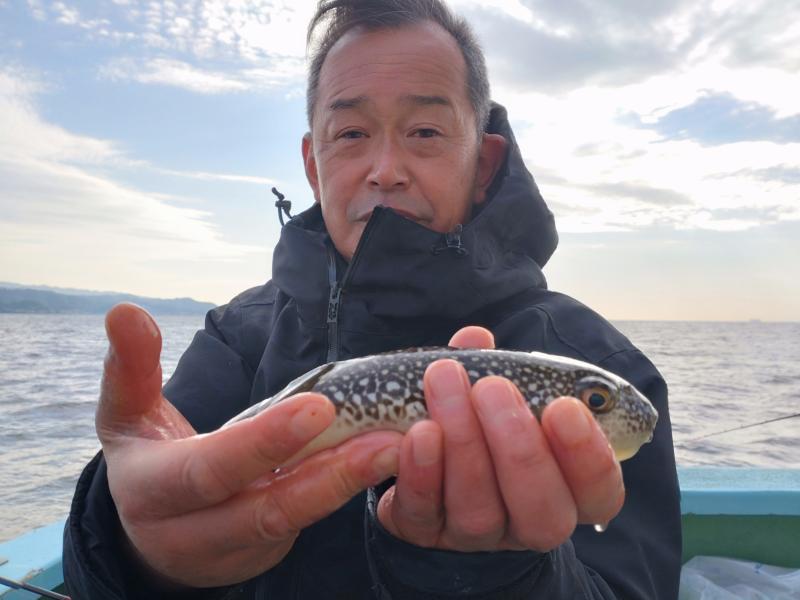 ふぐ釣り好調です！！5枚目