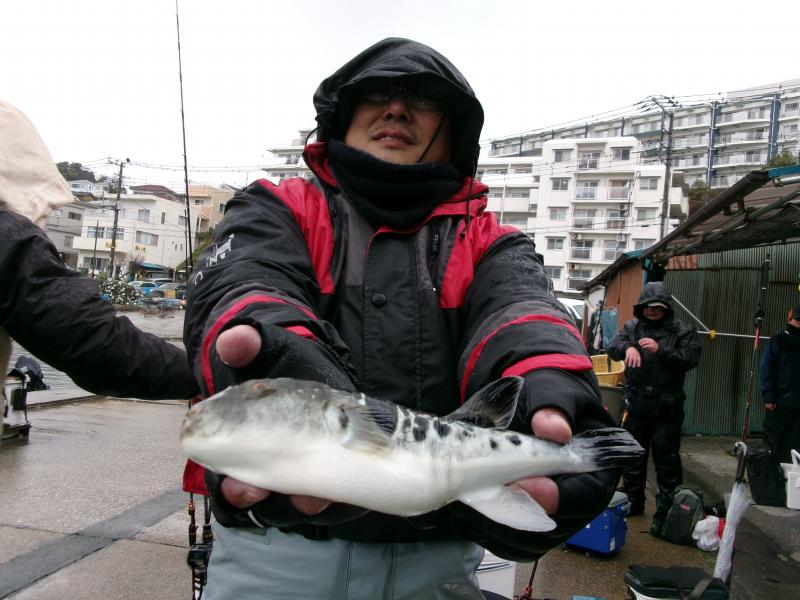 とらふぐ釣り2枚目