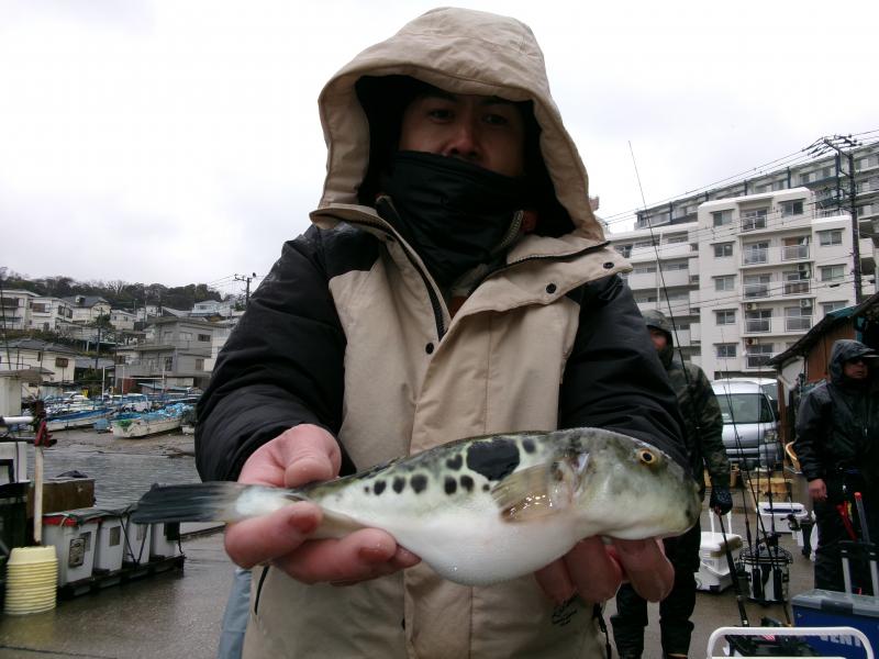 とらふぐ釣り3枚目