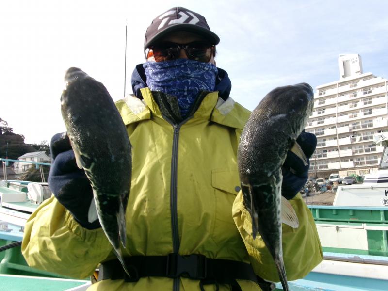 とらふぐ釣り好調です！！1枚目