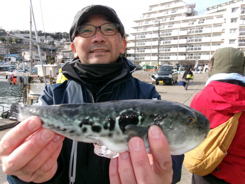 とらふぐ釣り好調です！！3枚目