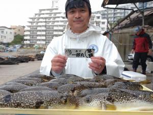 ふぐ釣り好調です！！